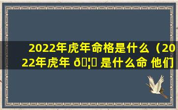 2022年虎年命格是什么（2022年虎年 🦁 是什么命 他们的命运如何）